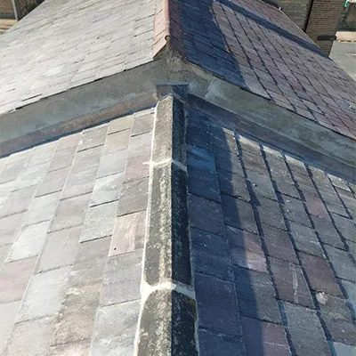 a bird sitting on top of a brick building